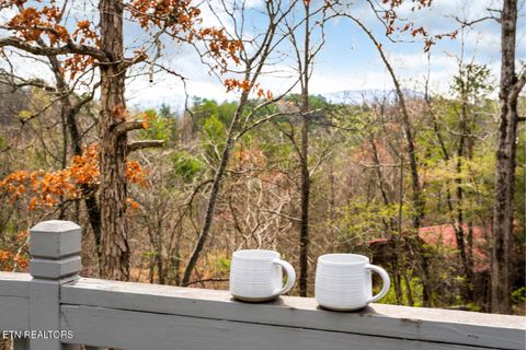 Tiny photo for 901 Sunrise Blvd, Sevierville, TN 37862 (MLS # 1327582)