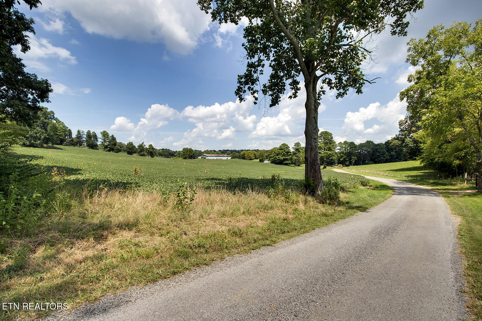 275 County Road 323