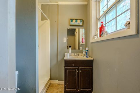 Tiny photo for 209 Crawford St, Dayton, TN 37321 (MLS # 1332926)