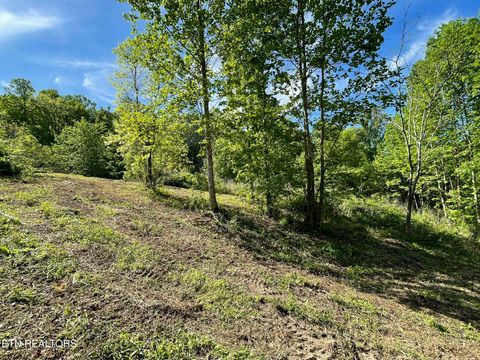 Tiny photo for 0 Williams Bend Rd, Knoxville, TN 37932 (MLS # 1337378)