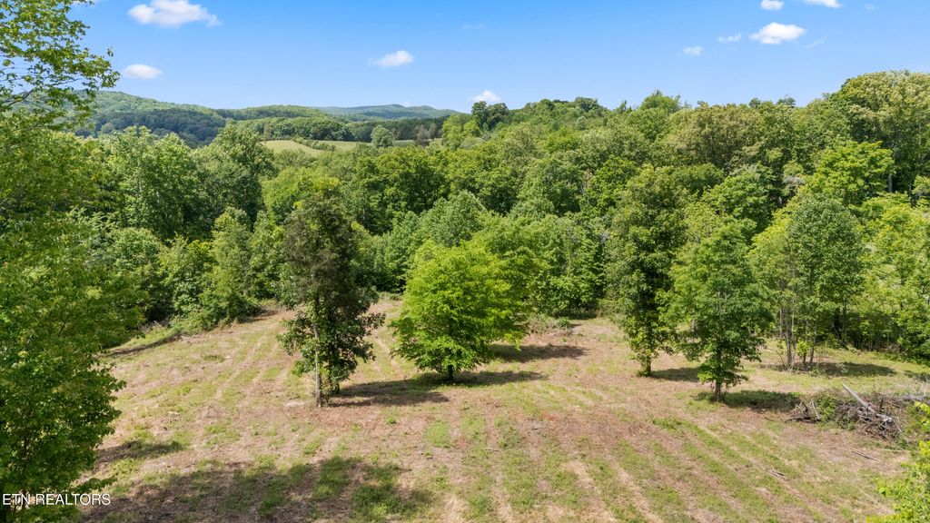 Photo of 0 Williams Bend Rd, Knoxville, TN 37932 (MLS # 1337378)
