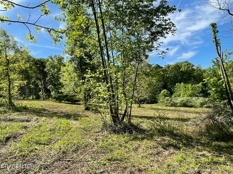 Tiny photo for 0 Williams Bend Rd, Knoxville, TN 37932 (MLS # 1337378)