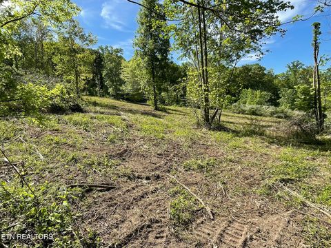 Tiny photo for 0 Williams Bend Rd, Knoxville, TN 37932 (MLS # 1337378)