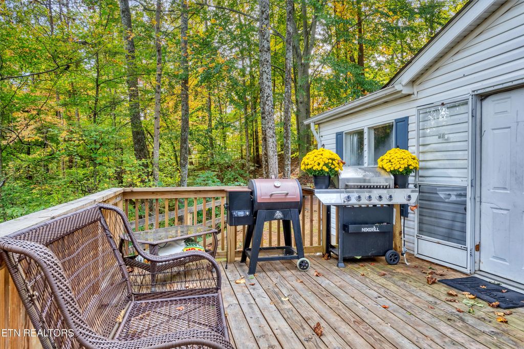 Photo of 668 Self Hollow Rd, Rockford, TN 37853 (MLS # 1319907)