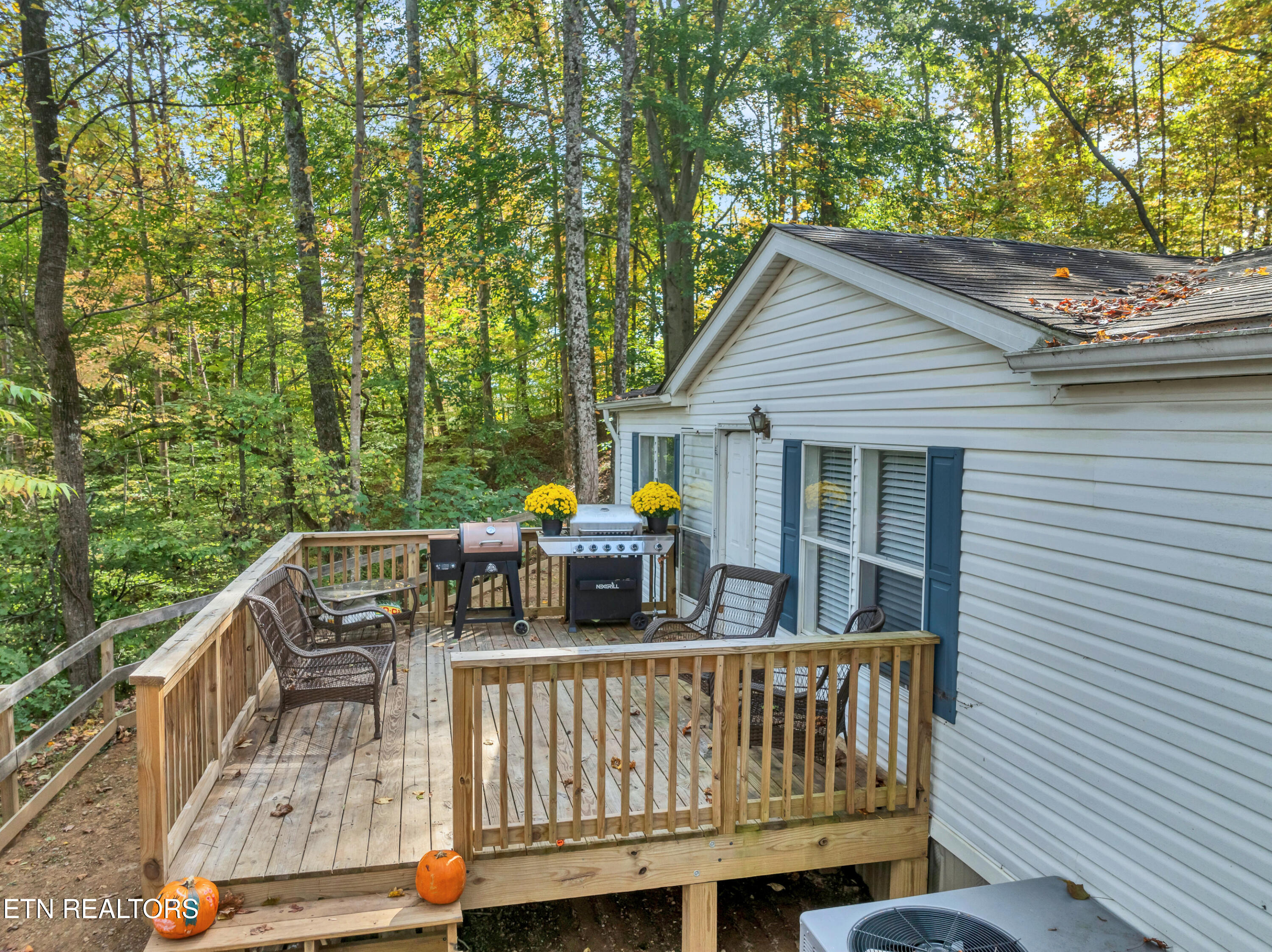 668 Self Hollow Rd