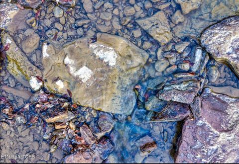 Tiny photo for 0 Hoskins Gap Rd, Oliver Springs, TN 37840 (MLS # 1324549)