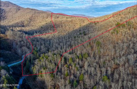 Photo of 0 Hoskins Gap Rd, Oliver Springs, TN 37840 (MLS # 1324549)