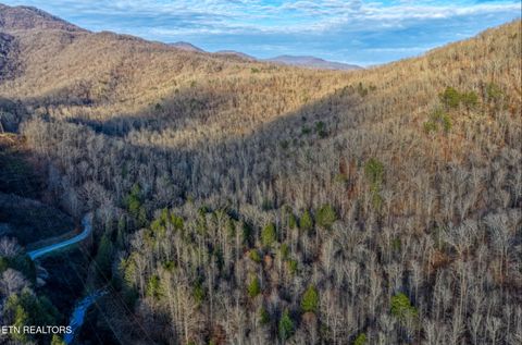 Tiny photo for 0 Hoskins Gap Rd, Oliver Springs, TN 37840 (MLS # 1324549)