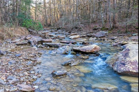 Tiny photo for 0 Hoskins Gap Rd, Oliver Springs, TN 37840 (MLS # 1324549)