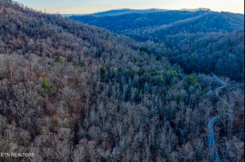 Tiny photo for 0 Hoskins Gap Rd, Oliver Springs, TN 37840 (MLS # 1324549)