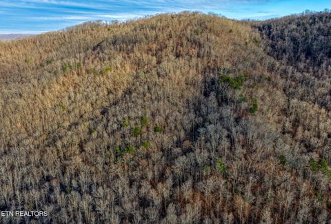 Tiny photo for 0 Hoskins Gap Rd, Oliver Springs, TN 37840 (MLS # 1324549)
