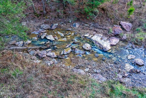 Tiny photo for 0 Hoskins Gap Rd, Oliver Springs, TN 37840 (MLS # 1324549)