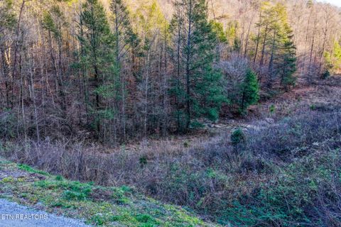Tiny photo for 0 Hoskins Gap Rd, Oliver Springs, TN 37840 (MLS # 1324549)