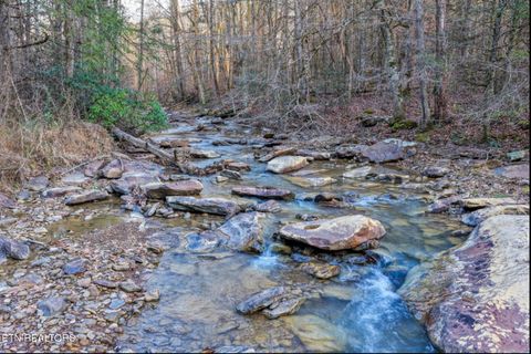 Tiny photo for 0 Hoskins Gap Rd, Oliver Springs, TN 37840 (MLS # 1324549)