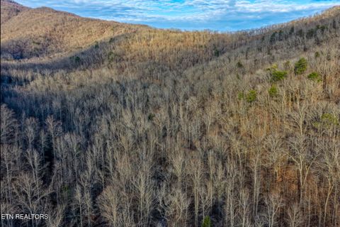 Tiny photo for 0 Hoskins Gap Rd, Oliver Springs, TN 37840 (MLS # 1324549)