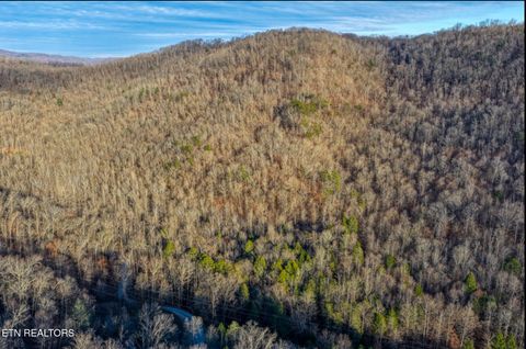 Tiny photo for 0 Hoskins Gap Rd, Oliver Springs, TN 37840 (MLS # 1324549)