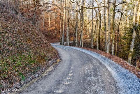 Tiny photo for 0 Hoskins Gap Rd, Oliver Springs, TN 37840 (MLS # 1324549)