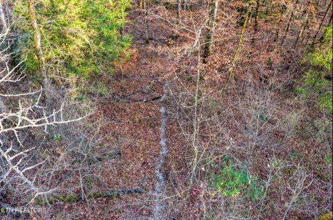Tiny photo for 0 Hoskins Gap Rd, Oliver Springs, TN 37840 (MLS # 1324549)