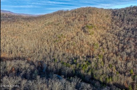 Tiny photo for 0 Hoskins Gap Rd, Oliver Springs, TN 37840 (MLS # 1324549)