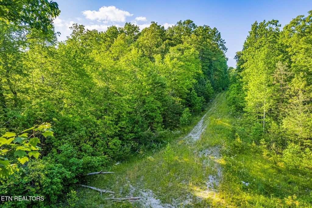 Photo of 0 Pickett Park Hwy, Jamestown, TN 38556 (MLS # 1339784)