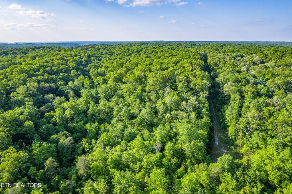 Photo of 0 Pickett Park Hwy, Jamestown, TN 38556 (MLS # 1339784)