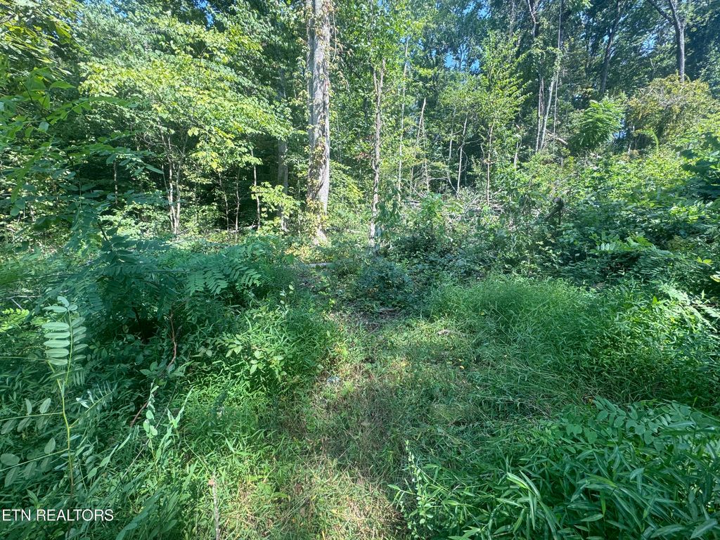 Photo of New Corinth Rd, Rutledge, TN 37861 (MLS # 1275529)
