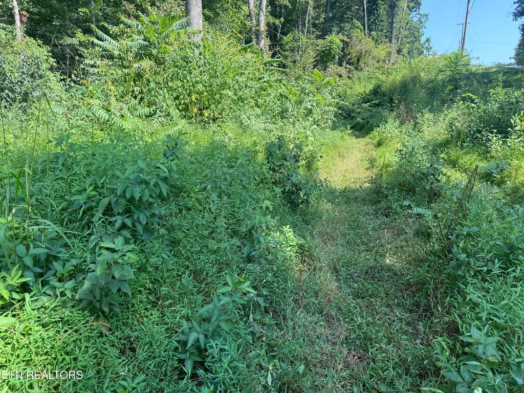 Photo of New Corinth Rd, Rutledge, TN 37861 (MLS # 1275529)