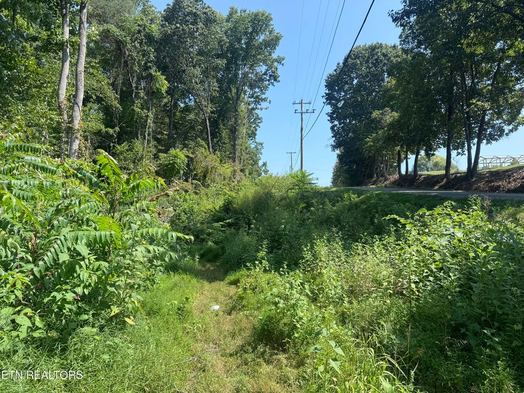 Photo of New Corinth Rd, Rutledge, TN 37861 (MLS # 1275529)