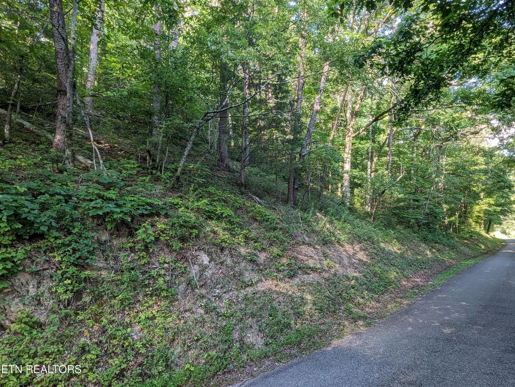 Photo of 1926 Chestnut Valley Rd, Vonore, TN 37885 (MLS # 1265799)