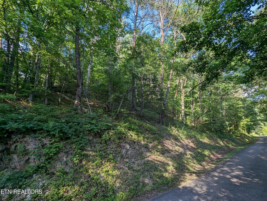 Photo of 1926 Chestnut Valley Rd, Vonore, TN 37885 (MLS # 1265799)
