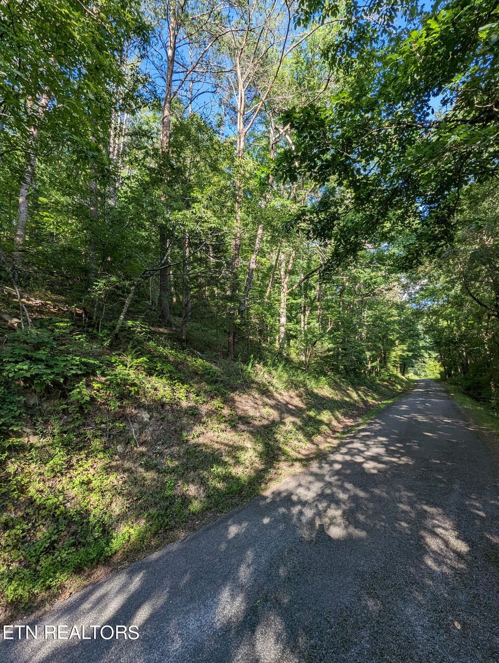 Photo of 1926 Chestnut Valley Rd, Vonore, TN 37885 (MLS # 1265799)