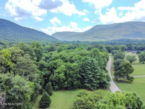 Tiny photo for 275 Spring Creek Rd, Delano, TN 37325 (MLS # 1359571)