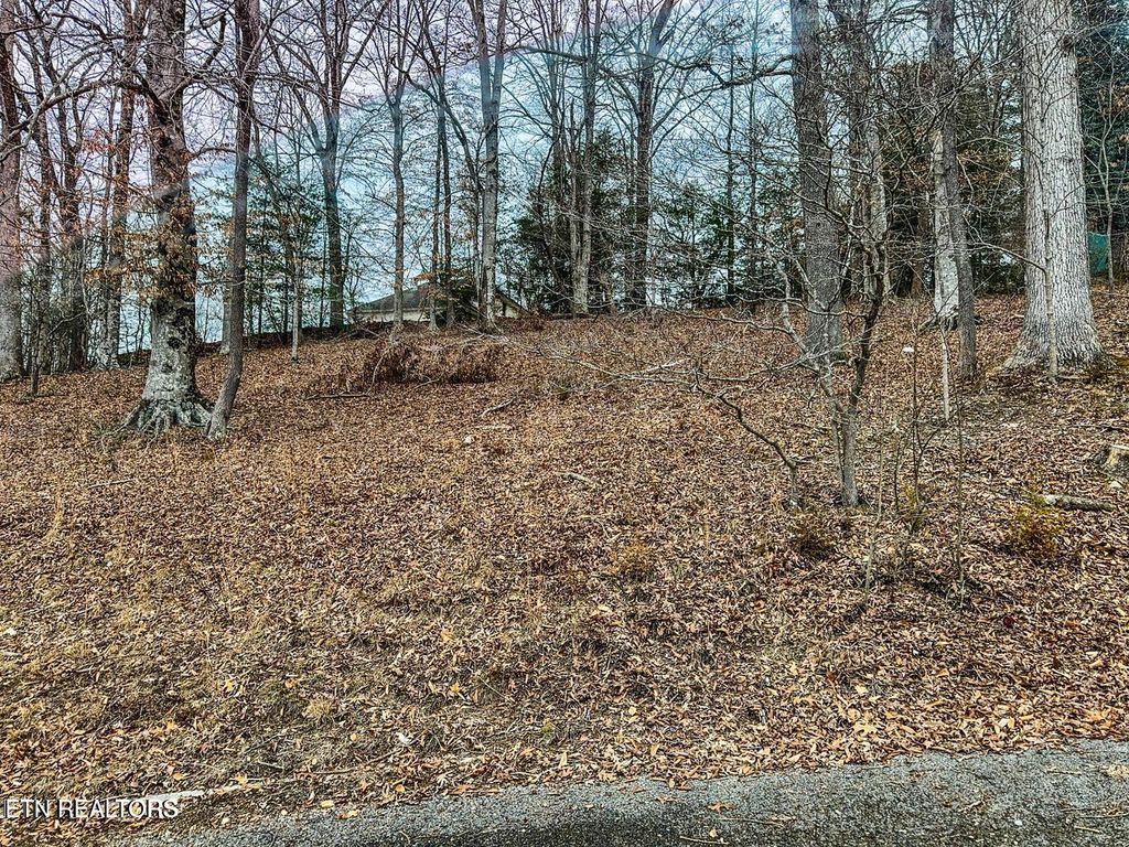 Photo of Madison Circle, Harrogate, TN 37752 (MLS # 1333409)
