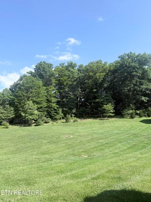 MADISON CIRCLE, HARROGATE, TN 37752 - Image d77cda508089cbf2c6b8e28e449af5b8/943946592