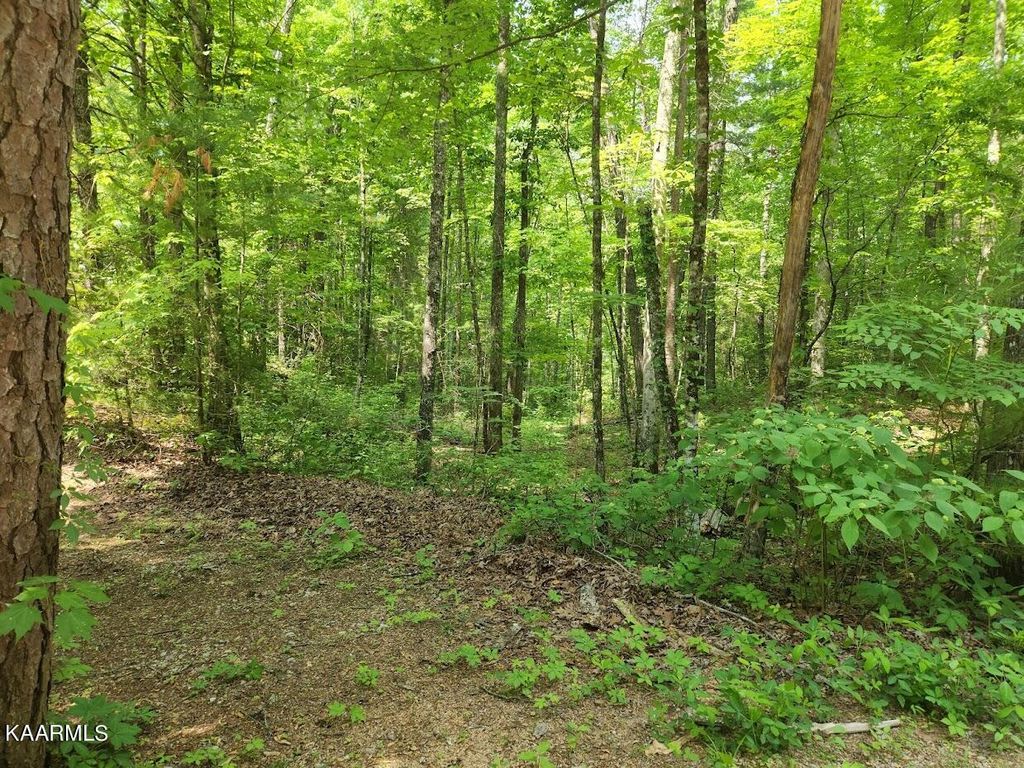 Photo of Oakwood Rd, Walland, TN 37886 (MLS # 1212912)