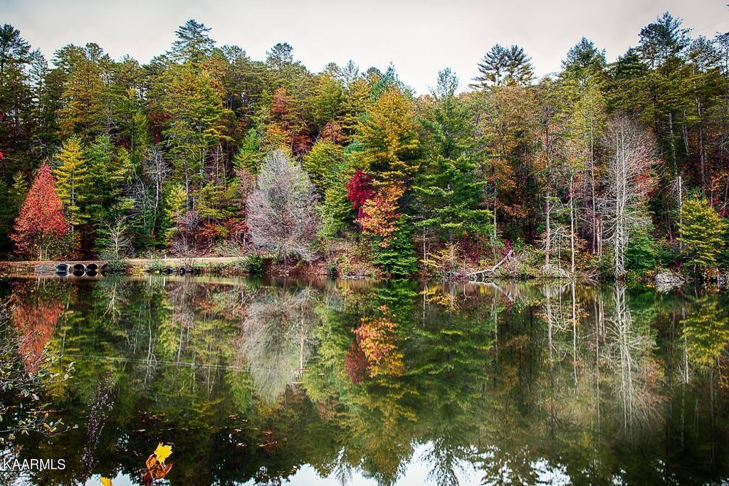 Photo of Oakwood Rd, Walland, TN 37886 (MLS # 1212912)