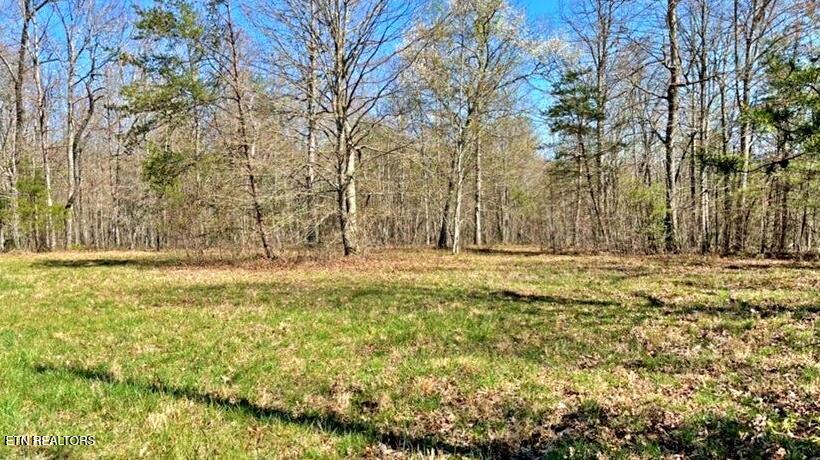 Photo of 9 Crest View Drive, Sunbright, TN 37872 (MLS # 1280749)