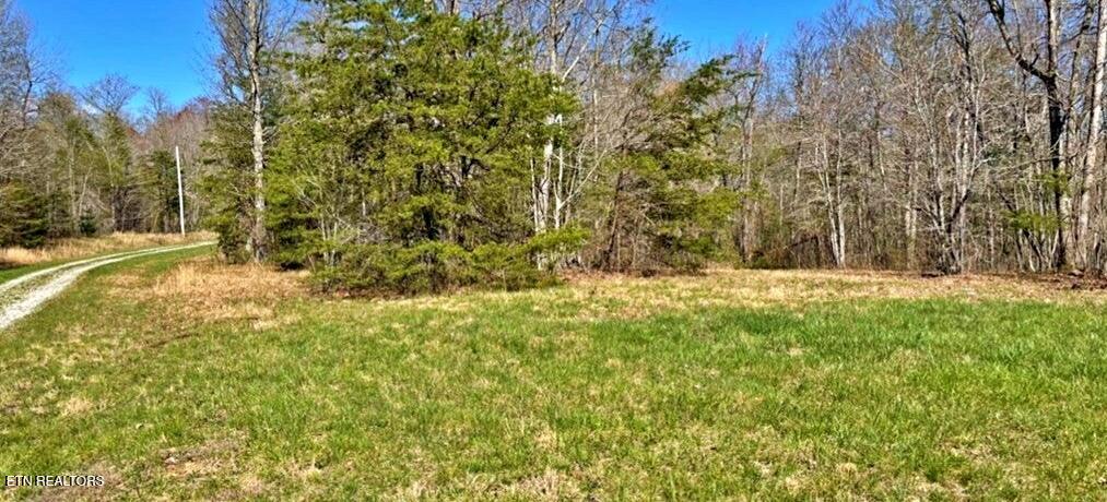 Photo of 9 Crest View Drive, Sunbright, TN 37872 (MLS # 1280749)
