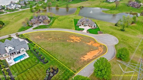 Photo of 220 Lake Forest Way, Louisville, TN 37777 (MLS # 1335943)