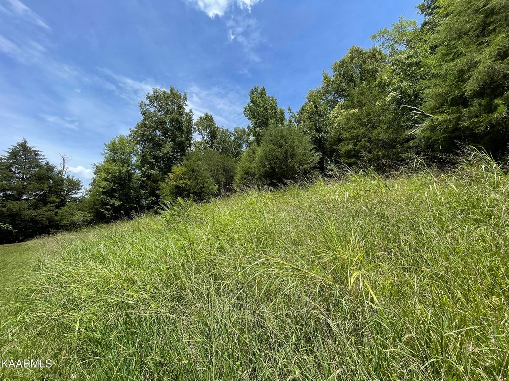 Photo of 102 Lakeshore Way, Newport, TN 37821 (MLS # 1202533)