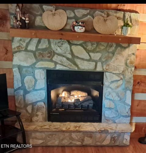 Tiny photo for 27412743 Cosby Hwy, Cosby, TN 37722 (MLS # 1325377)