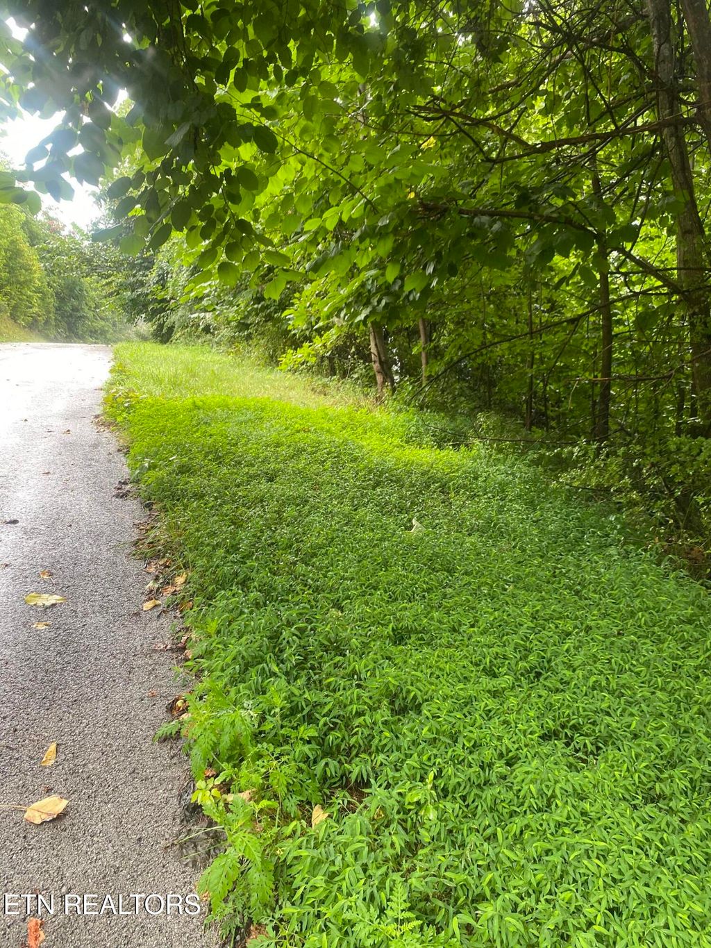 Photo of Eagle&#39;s Cove Parkway, Maynardville, TN 37807 (MLS # 1294190)