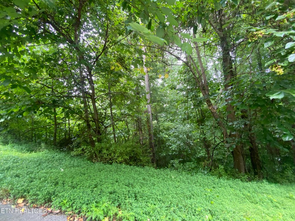 Photo of Eagle&#39;s Cove Parkway, Maynardville, TN 37807 (MLS # 1294190)