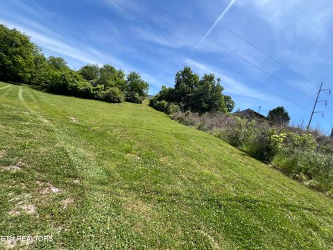 Tiny photo for 4 Wilson Rd, Sevierville, TN 37862 (MLS # 1341026)