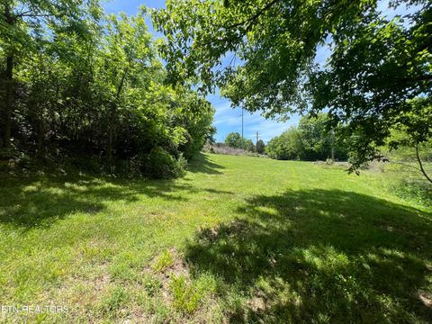 Tiny photo for 4 Wilson Rd, Sevierville, TN 37862 (MLS # 1341026)