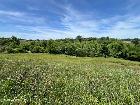 Tiny photo for 4 Wilson Rd, Sevierville, TN 37862 (MLS # 1341026)