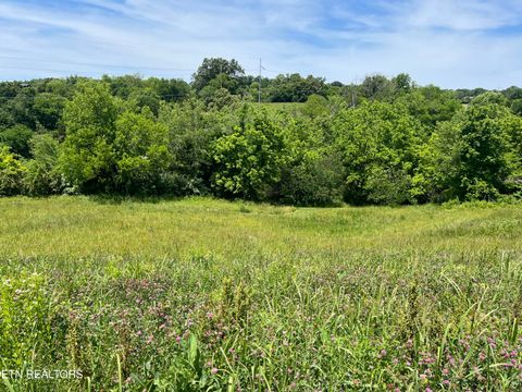 Tiny photo for 4 Wilson Rd, Sevierville, TN 37862 (MLS # 1341026)