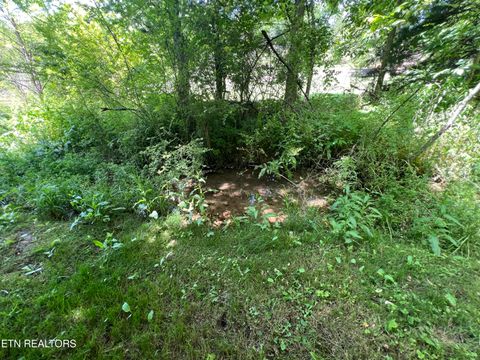Tiny photo for 4 Wilson Rd, Sevierville, TN 37862 (MLS # 1341026)