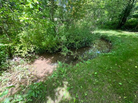 Tiny photo for 4 Wilson Rd, Sevierville, TN 37862 (MLS # 1341026)