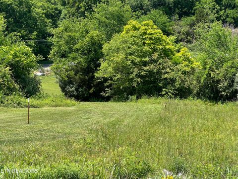Tiny photo for 4 Wilson Rd, Sevierville, TN 37862 (MLS # 1341026)